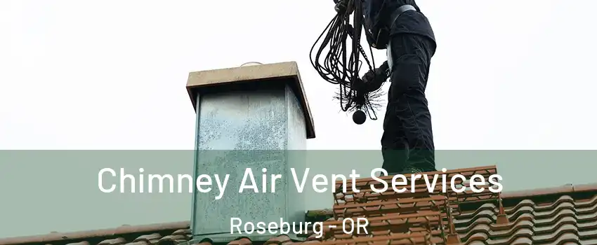  Chimney Air Vent Services Roseburg - OR