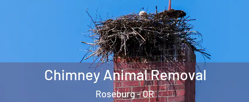 Chimney Animal Removal Roseburg - OR