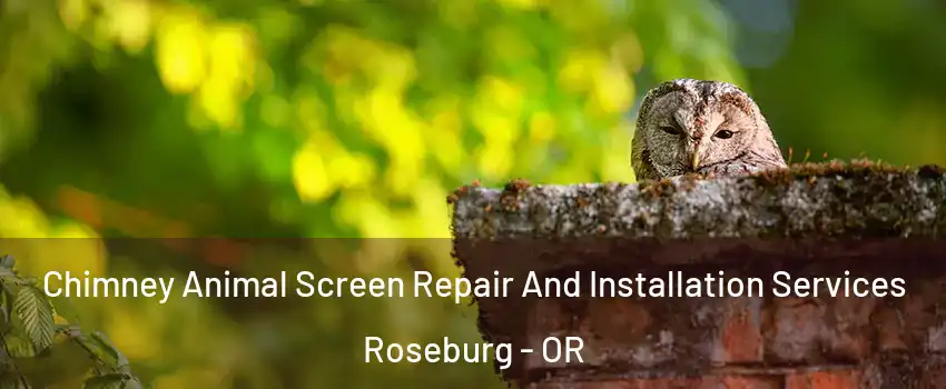  Chimney Animal Screen Repair And Installation Services Roseburg - OR