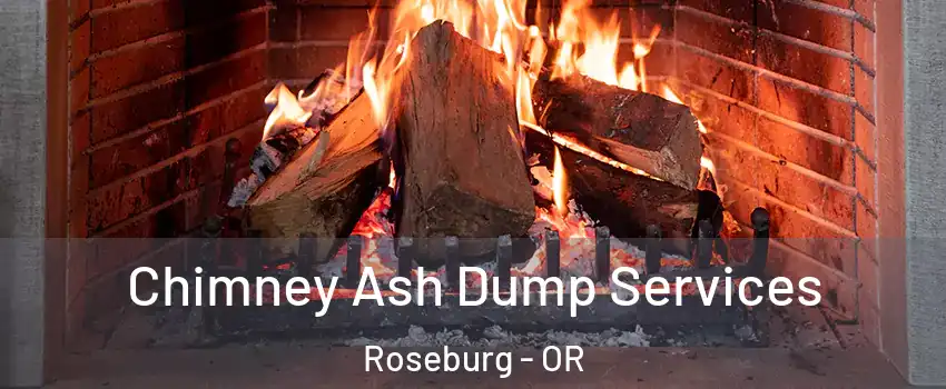  Chimney Ash Dump Services Roseburg - OR
