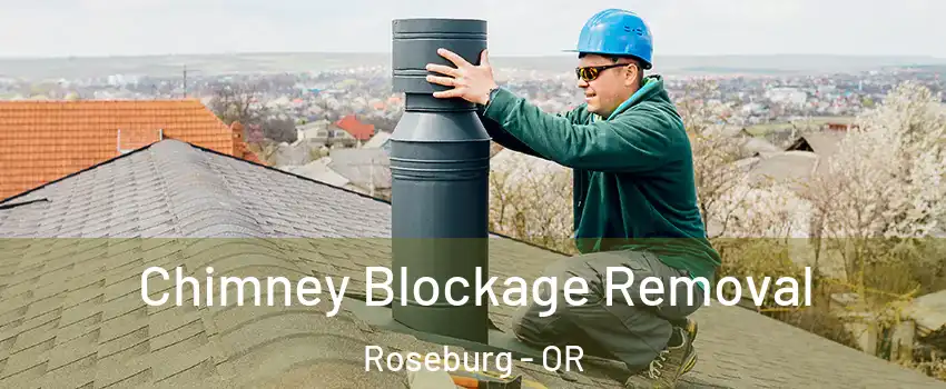  Chimney Blockage Removal Roseburg - OR