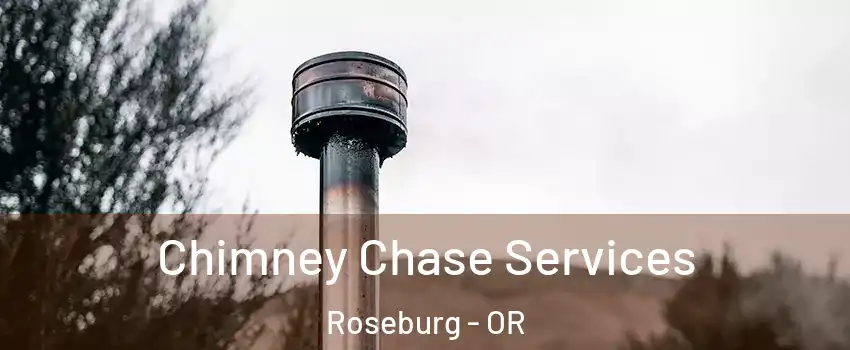  Chimney Chase Services Roseburg - OR