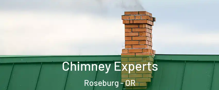Chimney Experts Roseburg - OR