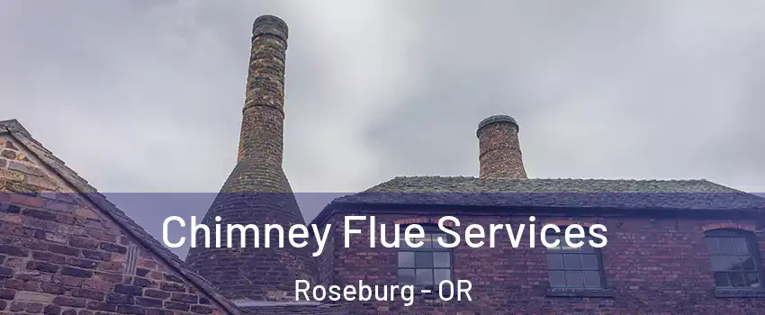  Chimney Flue Services Roseburg - OR