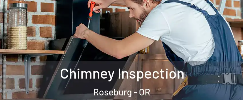  Chimney Inspection Roseburg - OR