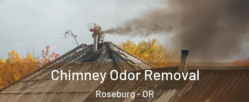  Chimney Odor Removal Roseburg - OR
