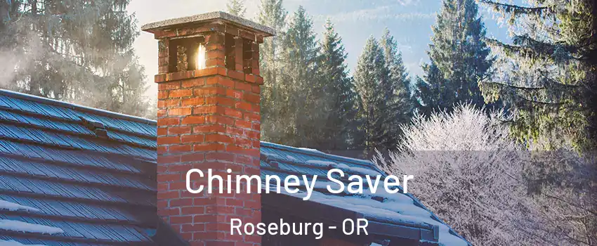  Chimney Saver Roseburg - OR