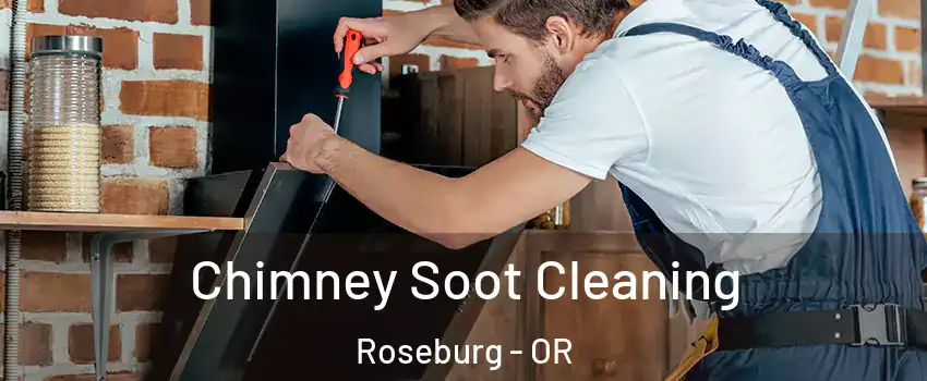 Chimney Soot Cleaning Roseburg - OR