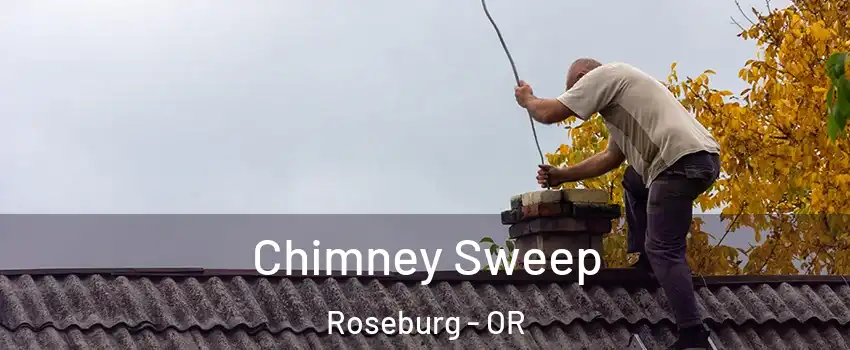 Chimney Sweep Roseburg - OR