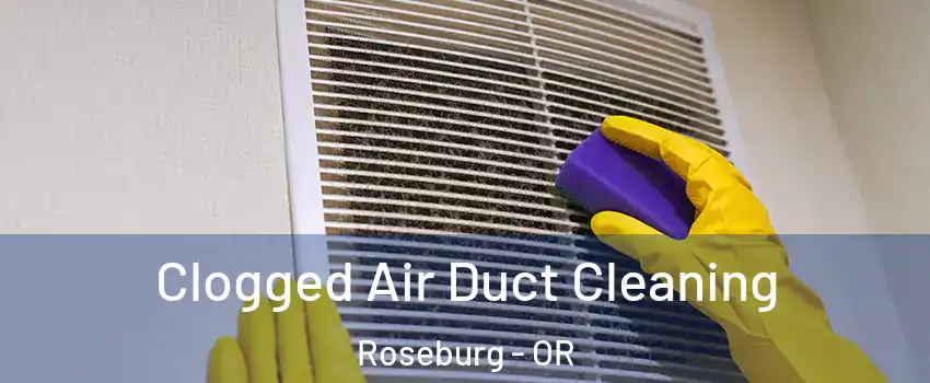  Clogged Air Duct Cleaning Roseburg - OR