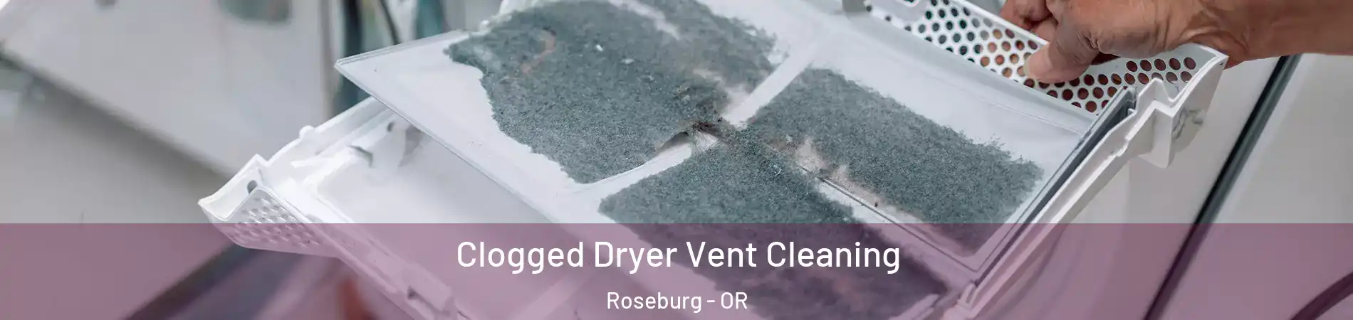  Clogged Dryer Vent Cleaning Roseburg - OR