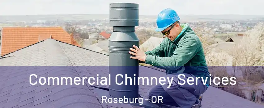  Commercial Chimney Services Roseburg - OR