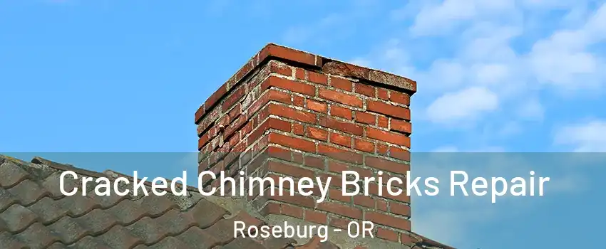  Cracked Chimney Bricks Repair Roseburg - OR