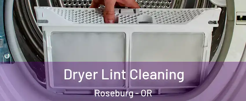  Dryer Lint Cleaning Roseburg - OR