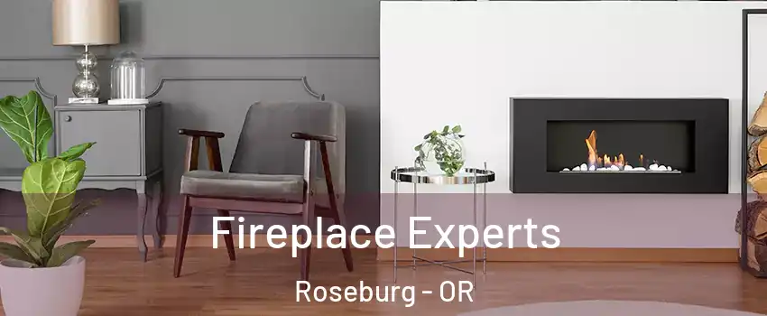  Fireplace Experts Roseburg - OR