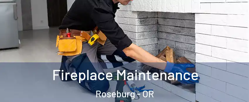  Fireplace Maintenance Roseburg - OR