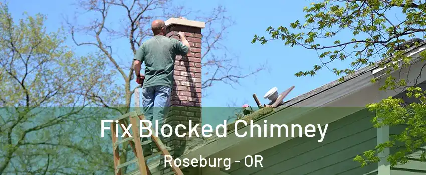  Fix Blocked Chimney Roseburg - OR