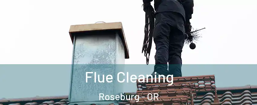  Flue Cleaning Roseburg - OR