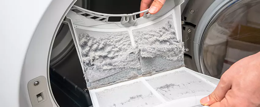Best Dryer Lint Removal Company in Roseburg, Oregon