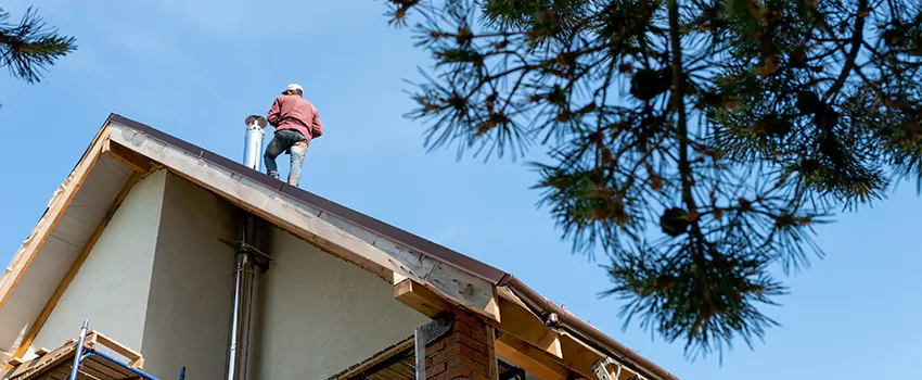 Birds Removal Contractors from Chimney in Roseburg, OR