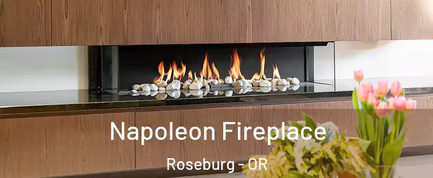  Napoleon Fireplace Roseburg - OR
