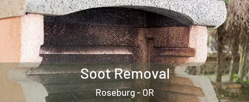  Soot Removal Roseburg - OR